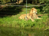 Návštěva ZOO Plzeň - 7. ročníky