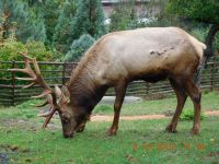 Exkurze do ZOO Plzeň